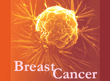 هرسپتین، بقای مبتلایان به سرطان پستان را افزایش می‌دهد