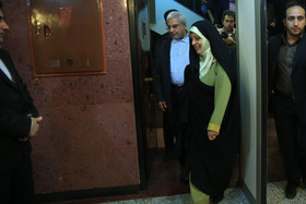 hamid forootan-25-7.jpg