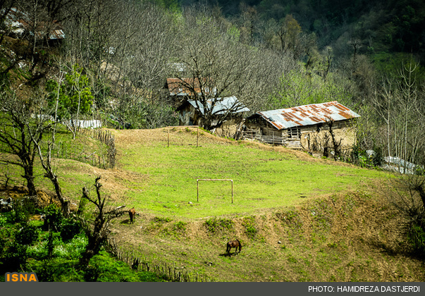 hamidreza dastjerdi-11-19.jpg