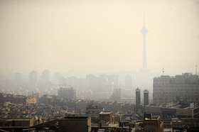 موثرترین راهکار کاهش آلودگی هوا از نگاه مدیرعامل شرکت کنترل کیفیت هوای تهران