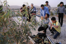 hemmat khahi (4 of 11)-4.jpg