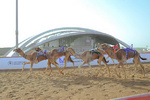 hemmat khahi-16-132.jpg