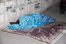 isna-1-111.jpg
