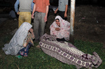isna-10-87.jpg