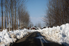 isna-2-232.jpg