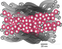 nanoparticle.jpg