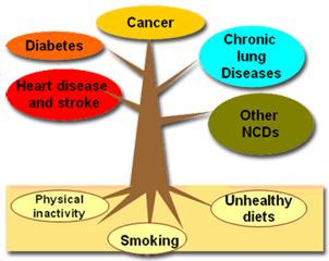 ncd_tree.gif