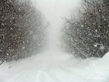 snowstorm-1.jpg