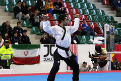 taekwondo-pomseh (17).jpg