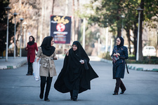 vahid (27)-13.jpg