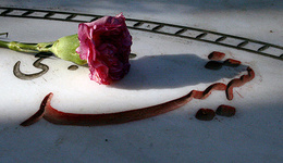 مروري بر زندگي شهيد محمد قاسمی