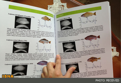 نخستین اطلس «اتولیت ماهیان خلیج فارس و دریای عمان» تدوین شد