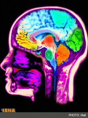 کشف مولکول غمگین مغز