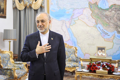 دیدار کوفی عنان با صالحی