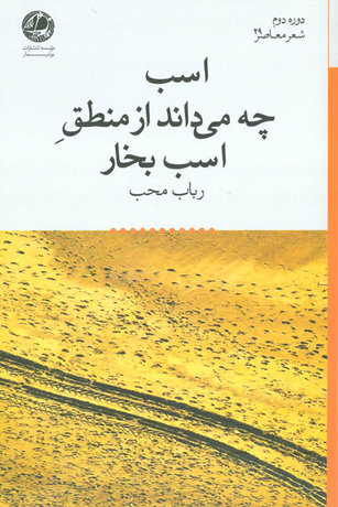 مجموعه شعری از رباب محب منتشر شد