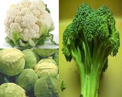 کاهش عوارض جانبی پرتودرمانی با خانواده کلم