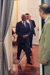 دیدار کوفی عنان با صالحی