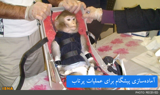 عکس میمون فضانورد ایرانی