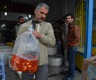 پرورش ماهی برای سفره هفت‌سین - رشت