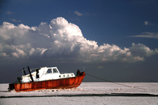 آخرین پلان "چی چست" ...