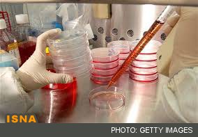 موفقیت محققان در رشد رگ‌های خونی با سلول‌های بنیادی