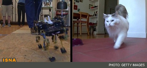 توله یوزپلنگ رباتیک، سریع‌ترین ربات چهارپای جهان