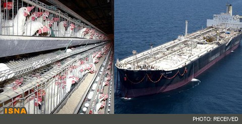 قیمت محصولات پروتئینی افزایش می‌یابد؟