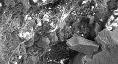 شهاب‌سنگ حادثه‌ساز روسیه زیر میکروسکوپ دانشمندان+ تصویر