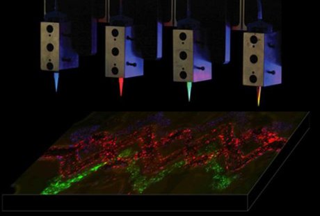 گام بنیادی دانشمندان در چاپ سه‌بعدی بافت زنده انسان