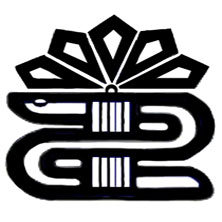 راه اندازی دستیاری تخصصی در سه رشته دانشگاه علوم پزشکی لرستان