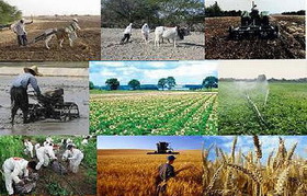 خوداتکایی در تولید محصولات کشاورزی