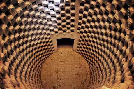 کندویی پر از کبوتر + تصاویر