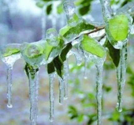 پیش‌بینی دمای صفر درجه و یخبندان برای برخی مناطق استان