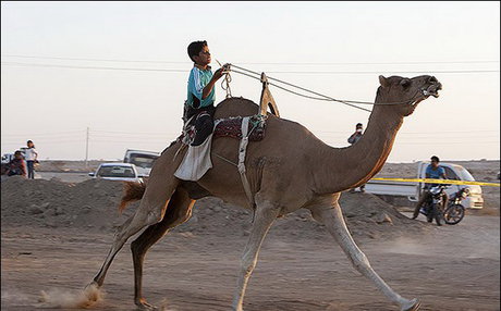 جشنواره بازی‌های بومی و محلی سنت‌های فراموش شده را احیا می‌کند