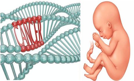 تأثیر جهش پیش از تولد در بروز سرطان مردان