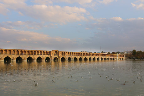 زاینده رود میزبان پرندگان مهاجر - اصفهان