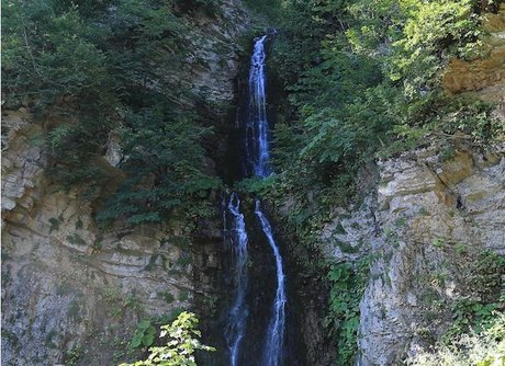 "آلوچال"؛ عروس جنگل ابر ‌