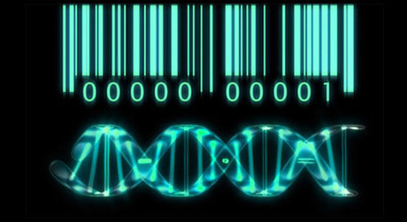 بانک ژنتیک، ابزار پیشگیری از وقوع جرم است