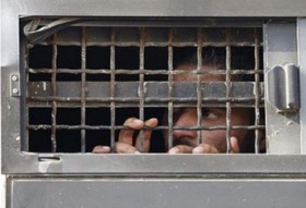 ۲۸ اسیر فلسطینی از قبل از توافق اسلو در زندان های اسرائیل هستند