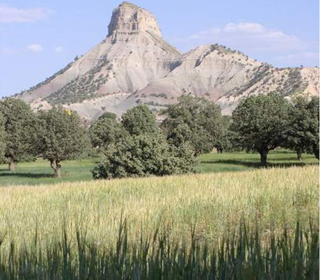 لزوم اتخاذ تصمیمی مناسب در جهت تامین حق آبه زمین‌های زراعی چهارمحال 