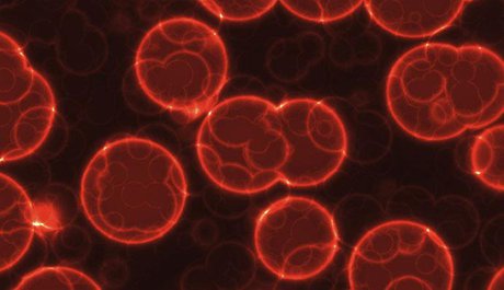 ساخت نسل جدید آندوسکوپ برای تشخیص تومورهای سرطانی