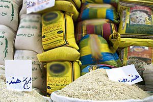 ایران صدور مجوز واردات برنج هندی را آغاز می‌کند