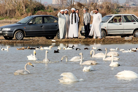 اقامت بیش از 2 میلیون مسافر در مازندران