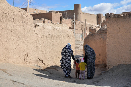 حمایت از مالکان بناهای تاریخی در مجلس شورای اسلامی