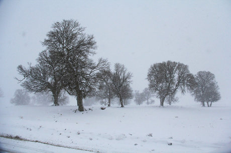 بارش برف در اکثر مناطق کوهستانی گیلان