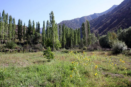 "پرور" خالی از سکنه سکونتگاه حیات‌وحش + عکس