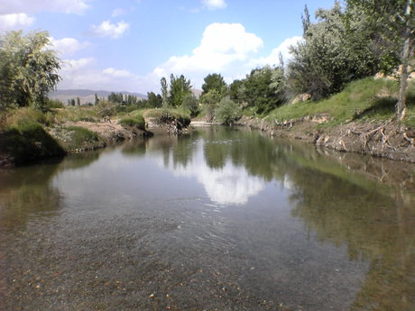 محیط زیست، پز روشنفکرانه نیست