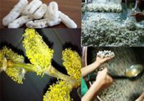 از ارومیه سوغاتی چی ببریم؟