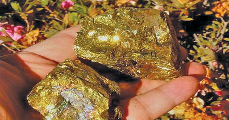 کشف معدن طلا با ظرفیت ذخیره 4000 تن طلا در نهبندان