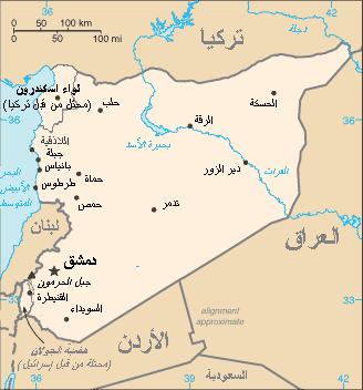 داعش مسیر امدادرسانی بین حمص و تدمر را بست